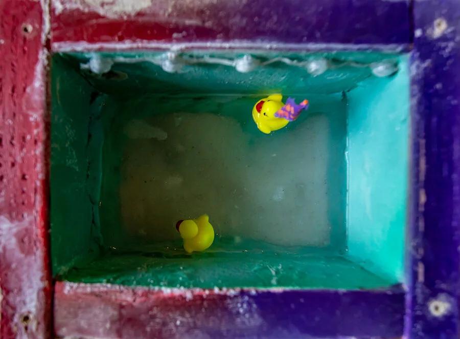 Ducky